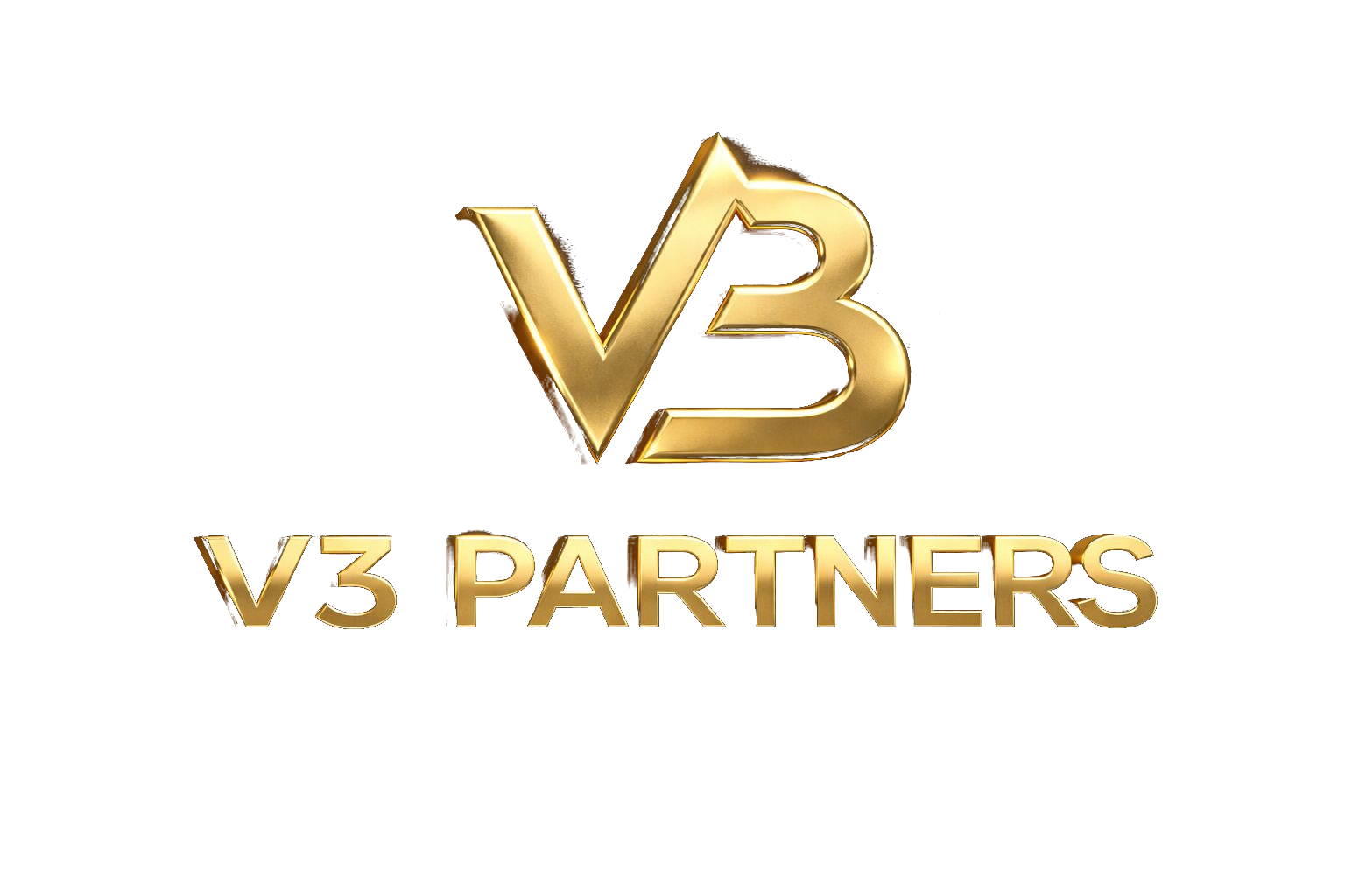 V3 Partners